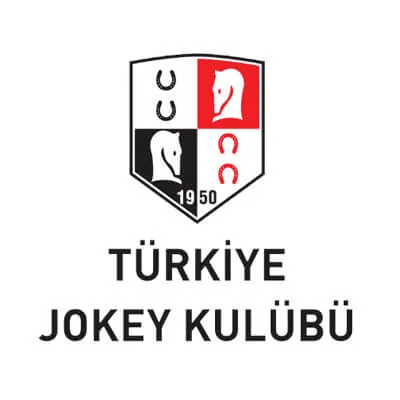 Misting İstanbul referans projesi 92