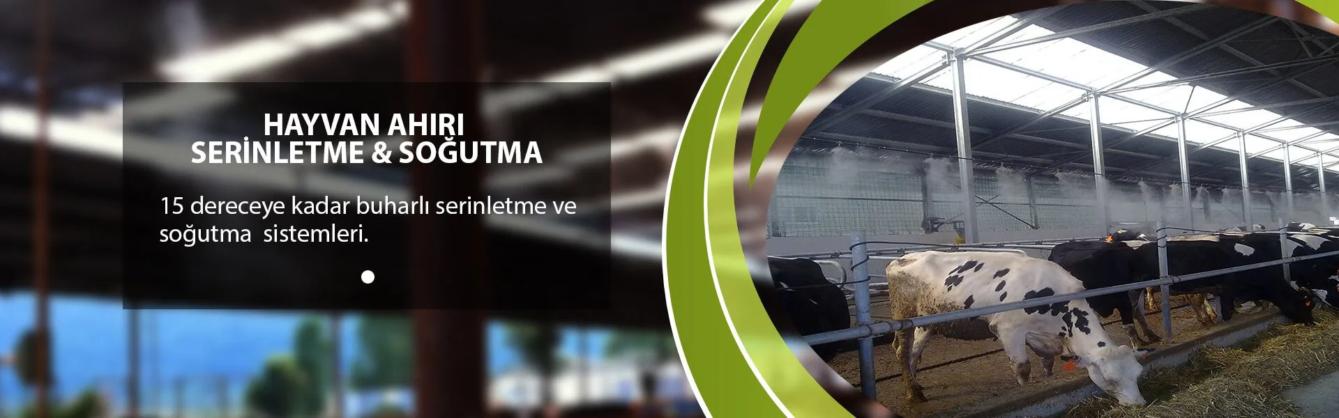 Profesyonel buharlı serinletme ve sisleme uygulaması