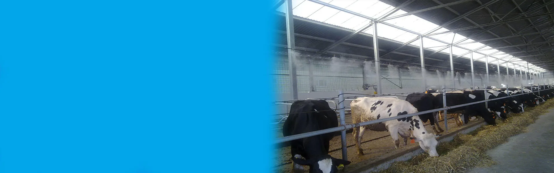 Livestock Climate Support